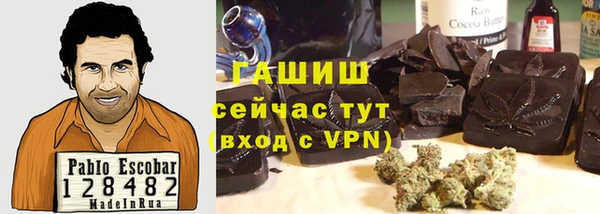 молекула духа Вяземский